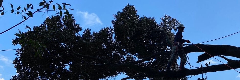 造和園の画像