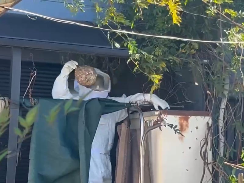 造和園の画像